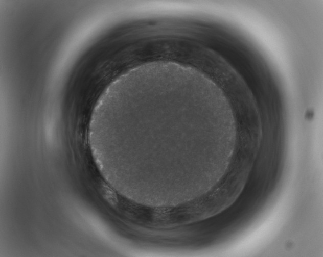 X0000116480766201001201342