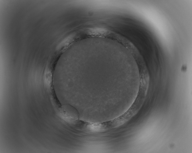 X0000116480767201001201342