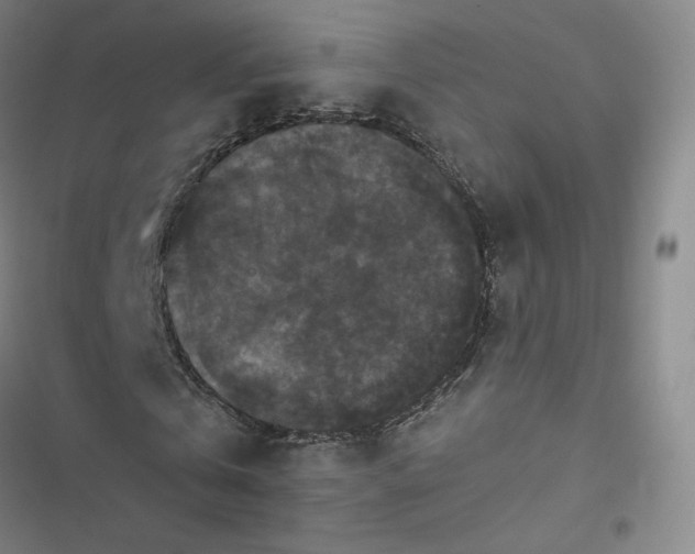 X0000116480769201001201341