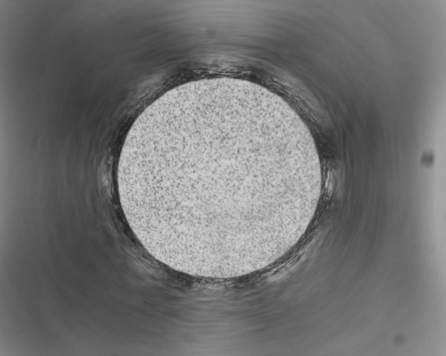 X0000116480771201001201341