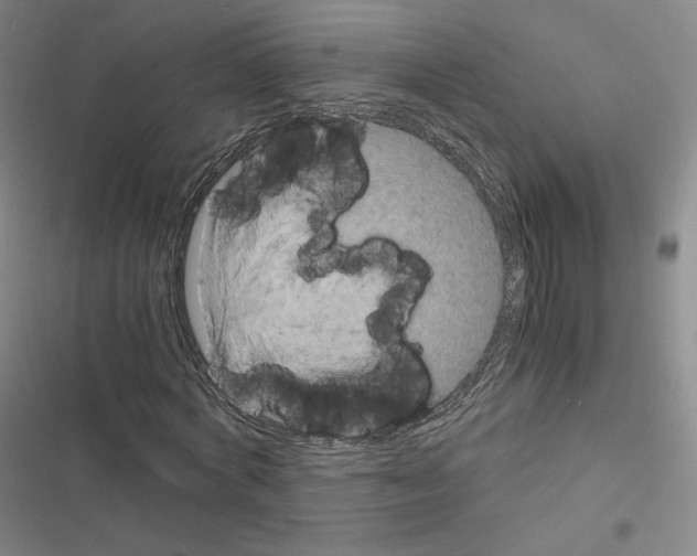 X0000116480772201001201341