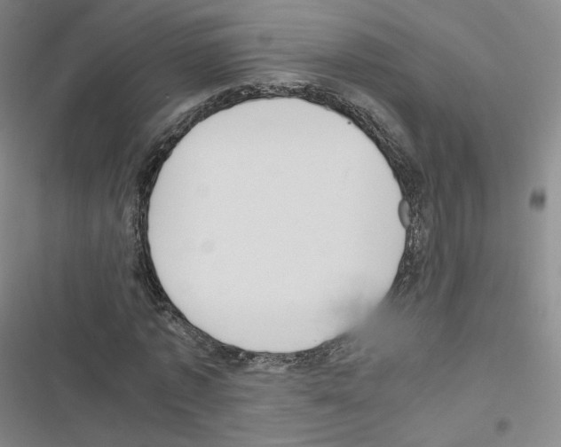 X0000116480773201001201341