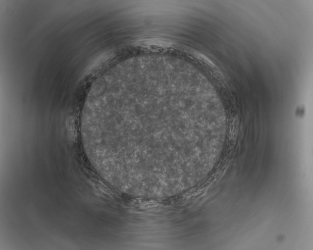 X0000116480774201001201341