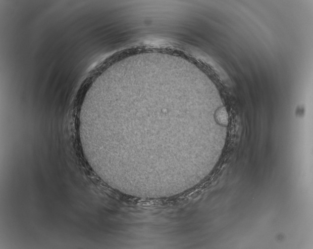 X0000116480776201001201341