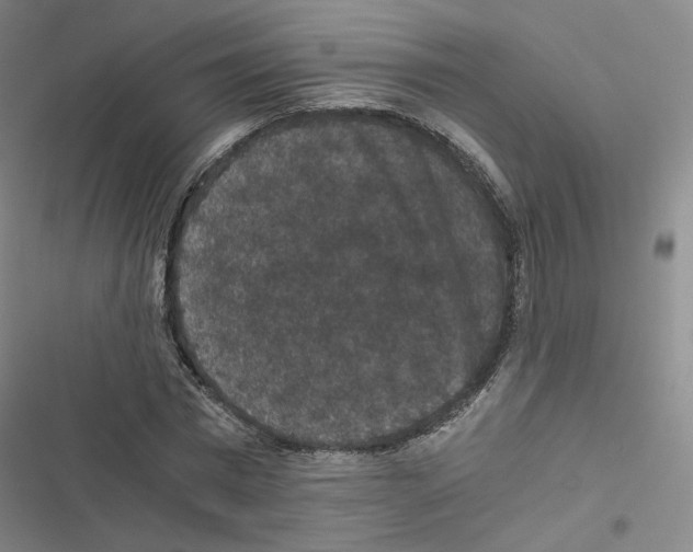 X0000116480777201001201341