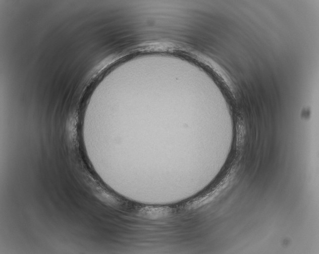 X0000116480778201001201341