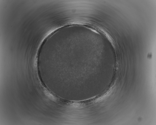 X0000116480779201001201341