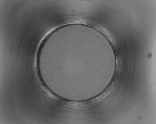 X0000116480780201001201341