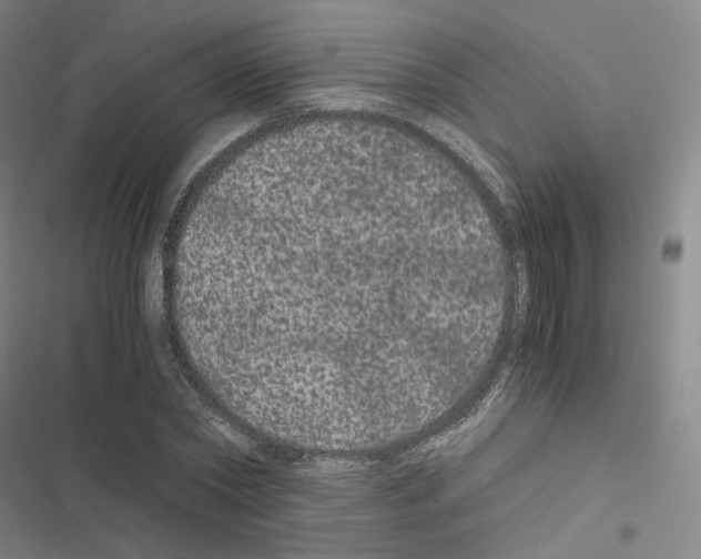 X0000116480782201001201341