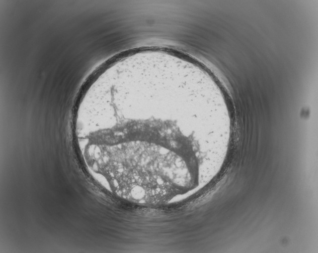 X0000116480783201001201341