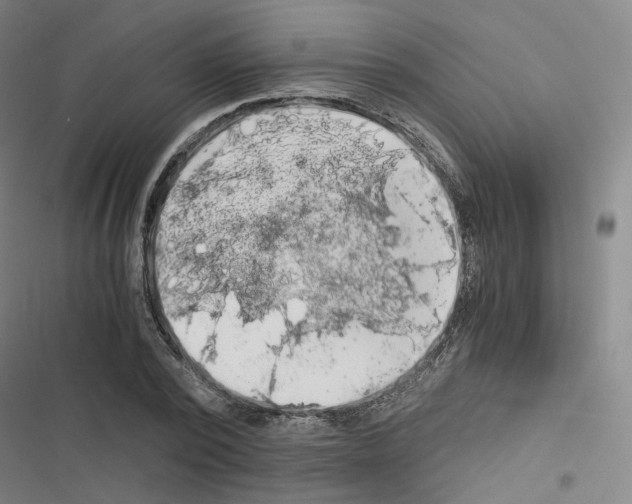 X0000116480784201001201341