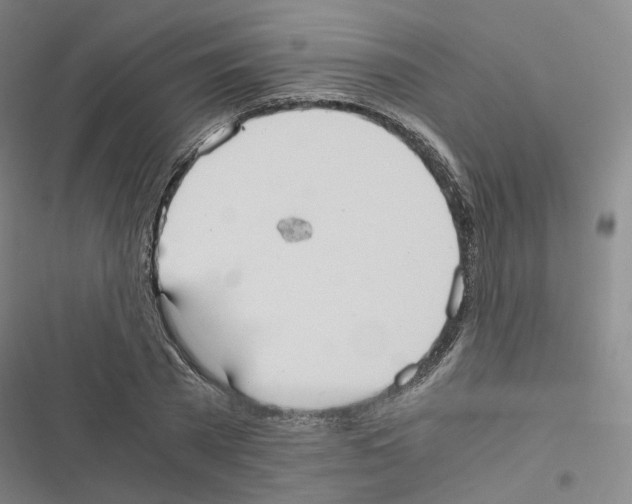 X0000116480785201001201341