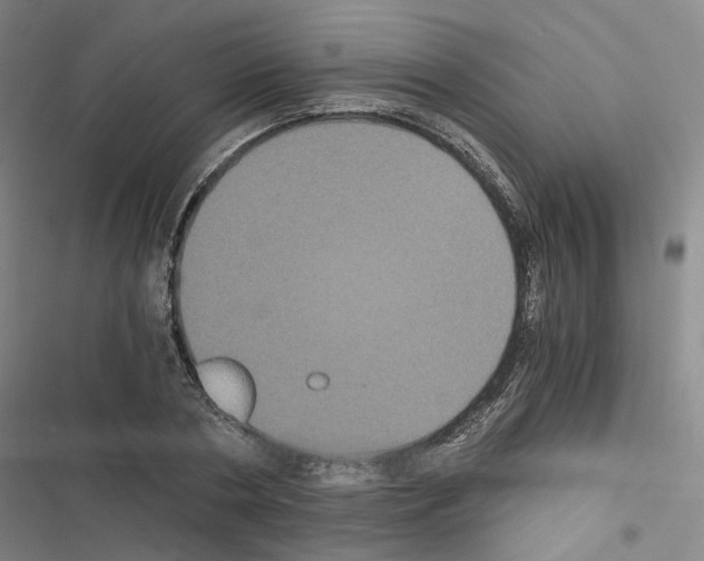 X0000116480786201001201341