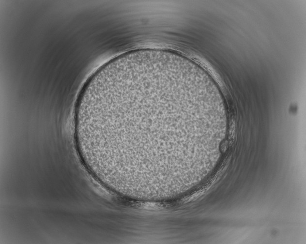 X0000116480787201001201341