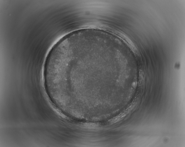 X0000116480788201001201341