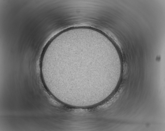 X0000116480789201001201341