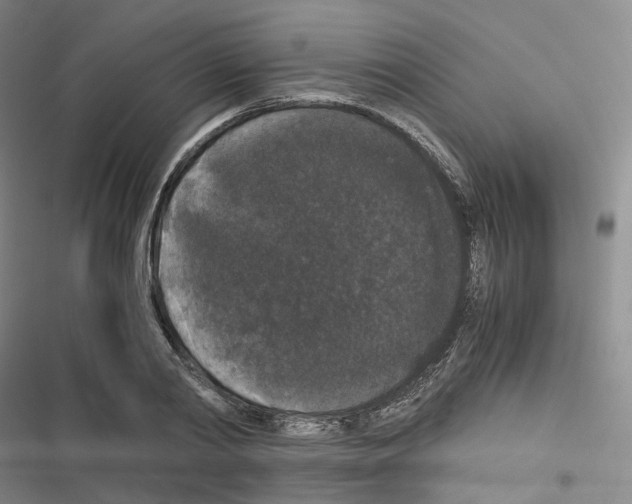 X0000116480790201001201341