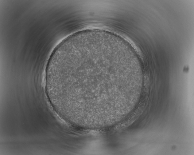 X0000116480791201001201341