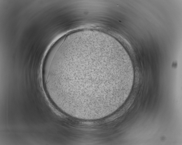 X0000116480792201001201341