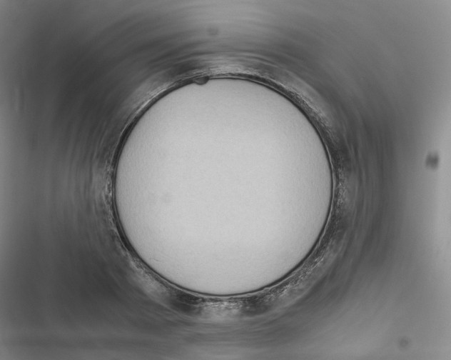 X0000116480793201001201341