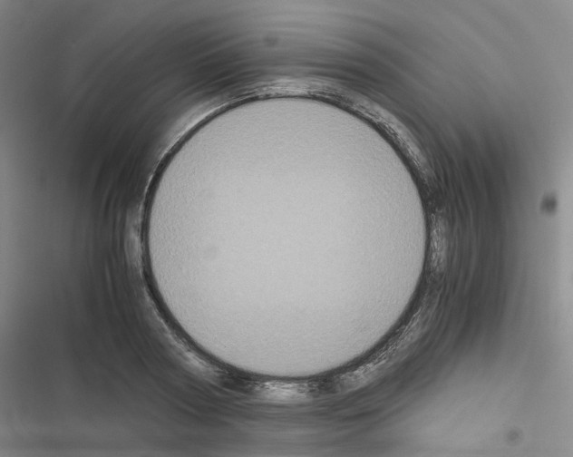 X0000116480794201001201341