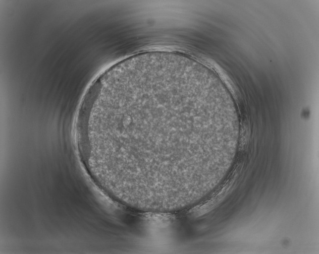 X0000116480795201001201341