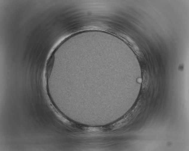 X0000116480796201001201341