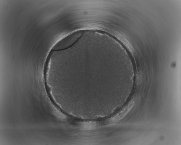 X0000116480797201001201341