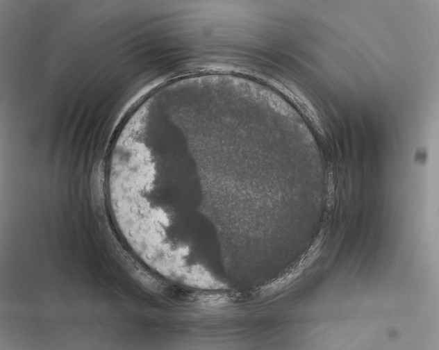 X0000116480798201001201341