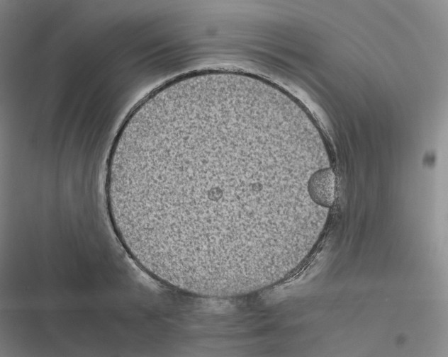 X0000116480799201001201341