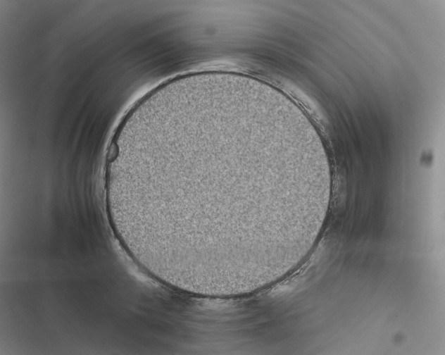 X0000116480800201001201341