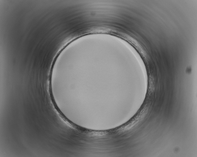 X0000116480802201001201341