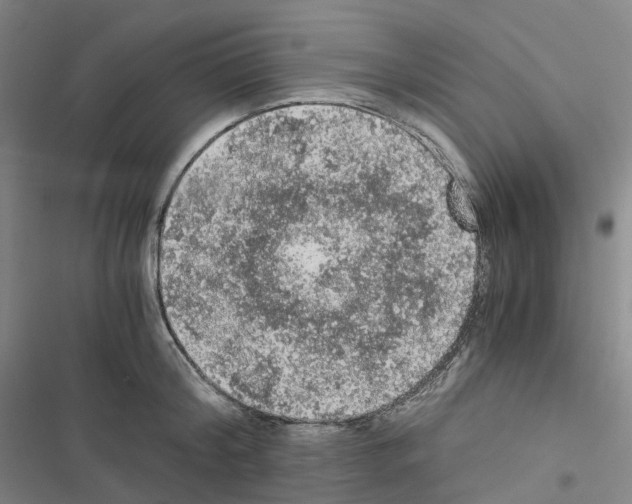 X0000116480804201001201341