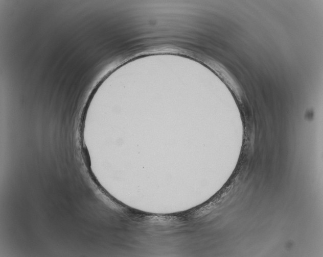 X0000116480805201001201341