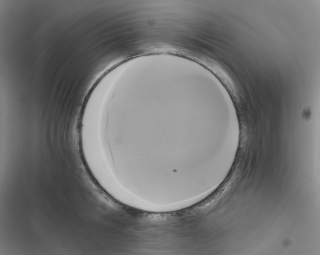 X0000116480806201001201341