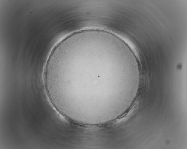 X0000116480807201001201341