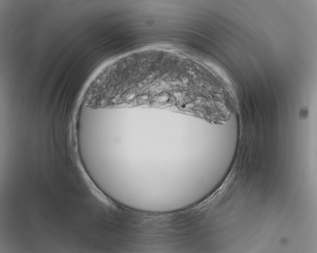 X0000116480808201001201341