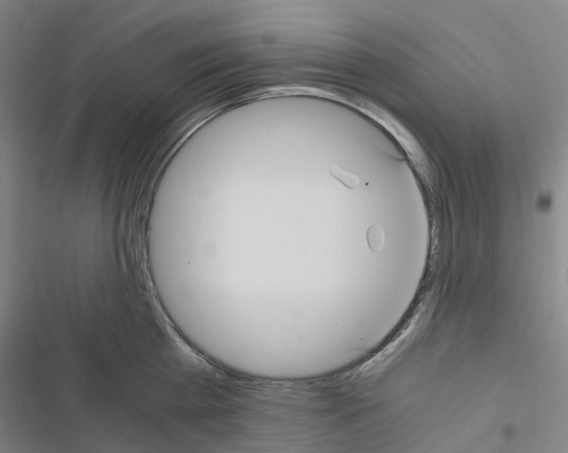 X0000116480809201001201341