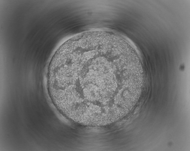 X0000116480811201001201341