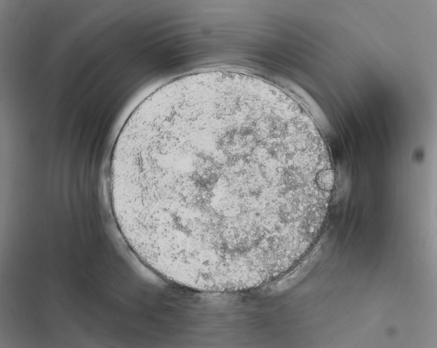 X0000116480812201001201341