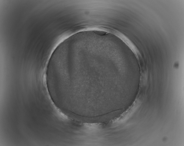 X0000116480813201001201341