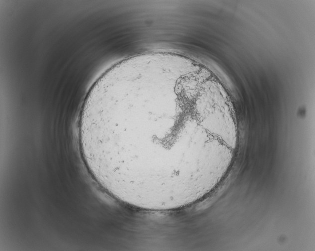 X0000116480814201001201341