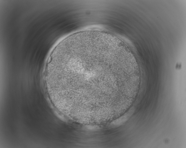 X0000116480816201001201341