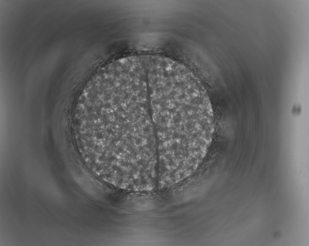 X0000116480817201001201340