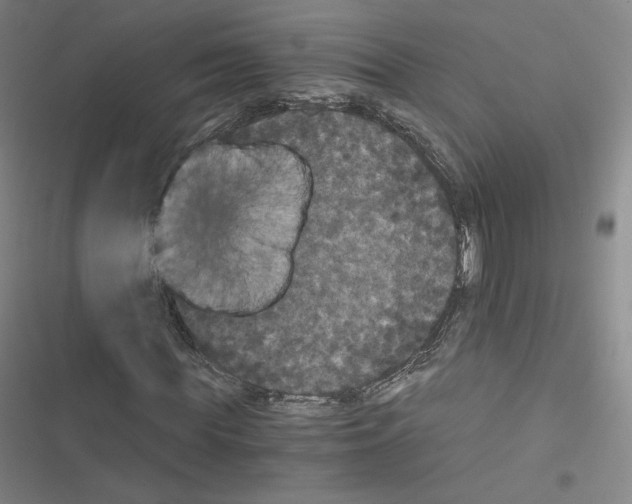 X0000116480819201001201340