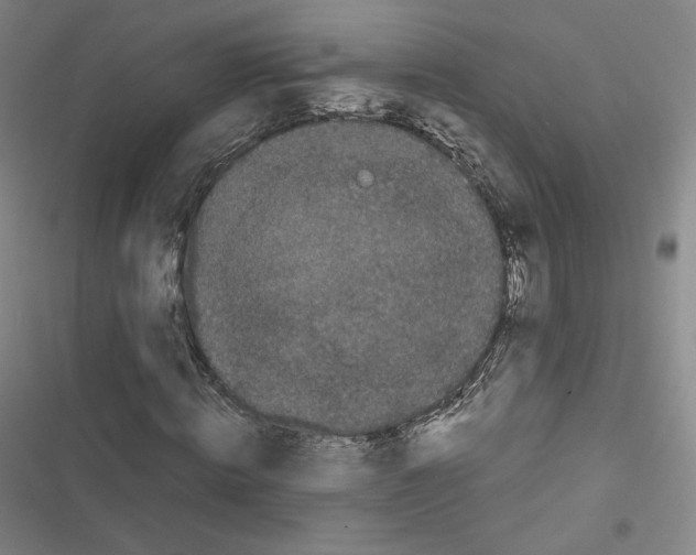 X0000116480820201001201340