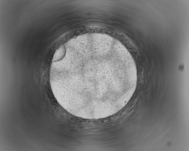 X0000116480821201001201340