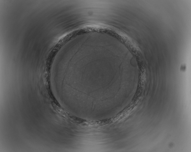 X0000116480822201001201340