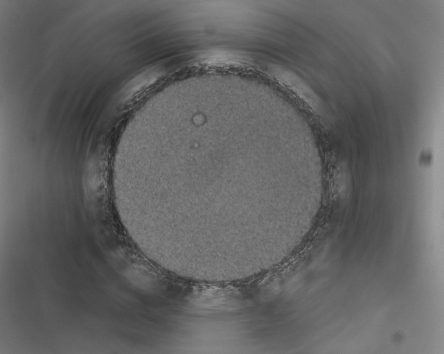 X0000116480824201001201340