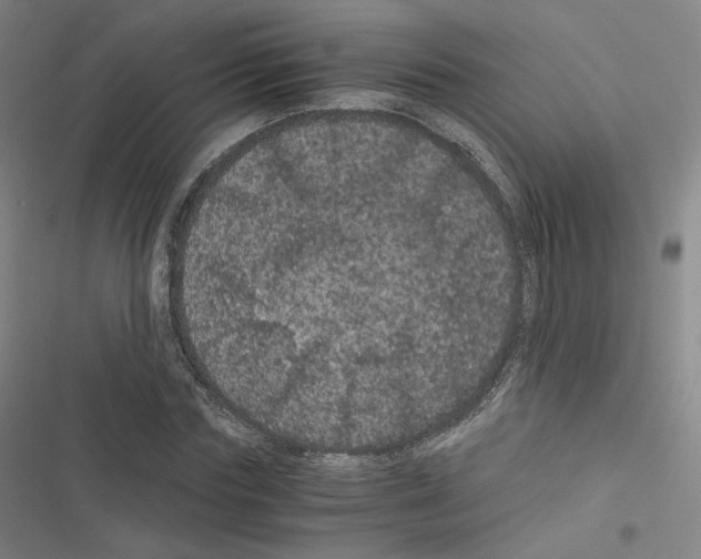 X0000116480827201001201340